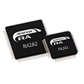 RA2A2 48MHz Arm® Cortex®-M23 Ultra-Low Power General-Purpose Microcontroller with Rich Peripherals